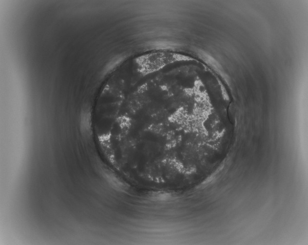 X0000111050249200907231602