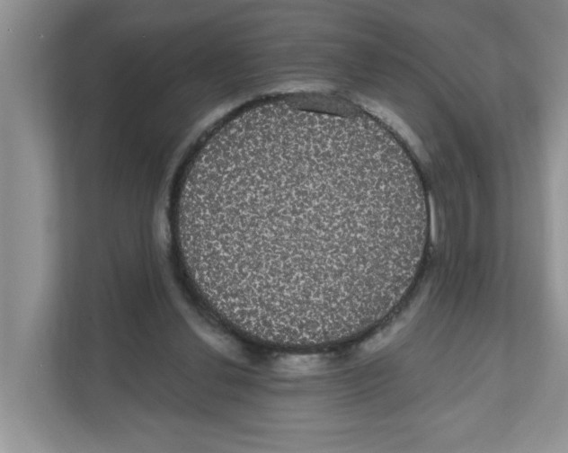 X0000111050252200907231602