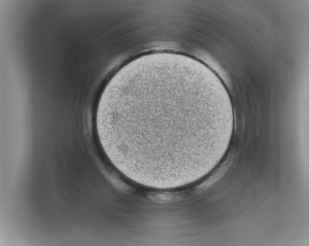 X0000111050253200907231602