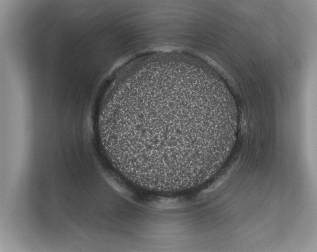 X0000111050256200907231602