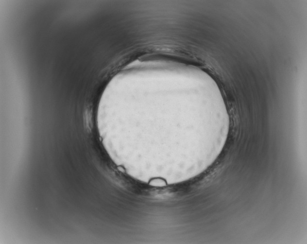 X0000111050262200907231602