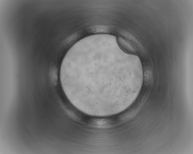 X0000111050264200907231602