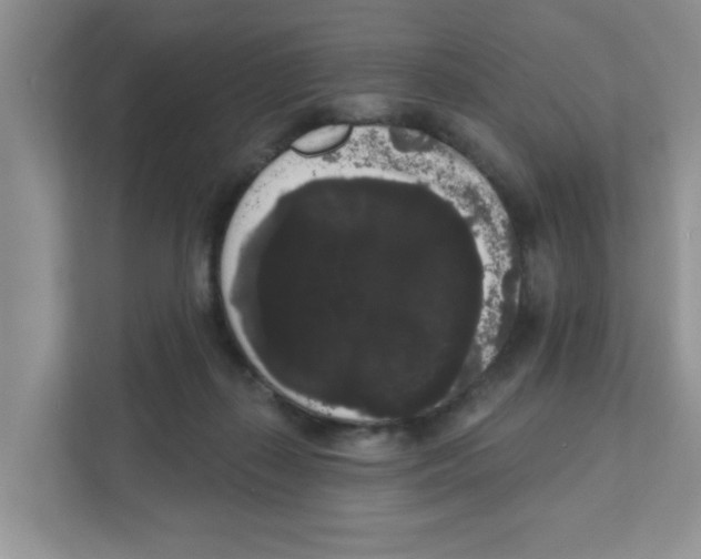 X0000111050267200907231602