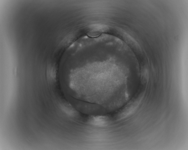 X0000111050268200907231602