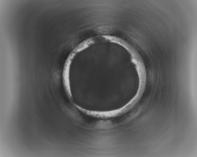 X0000111050271200907231602