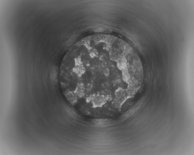 X0000111050273200907231602