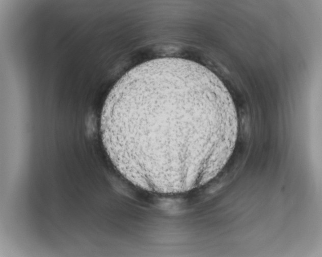 X0000111050274200907231602