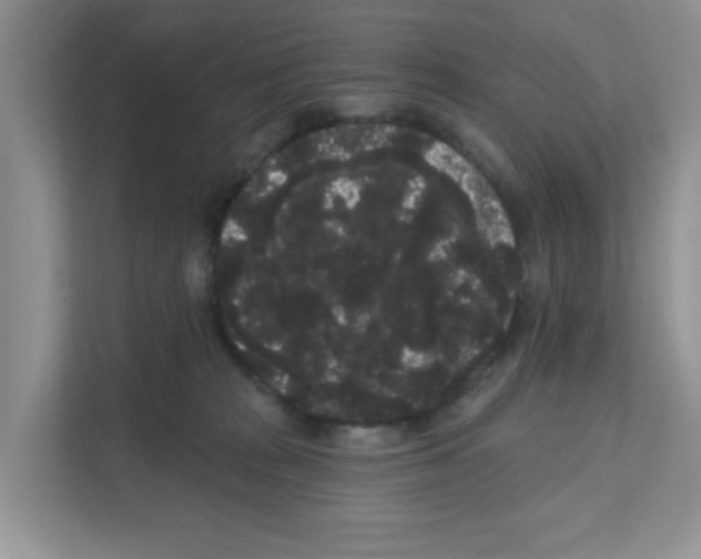 X0000111050277200907231602