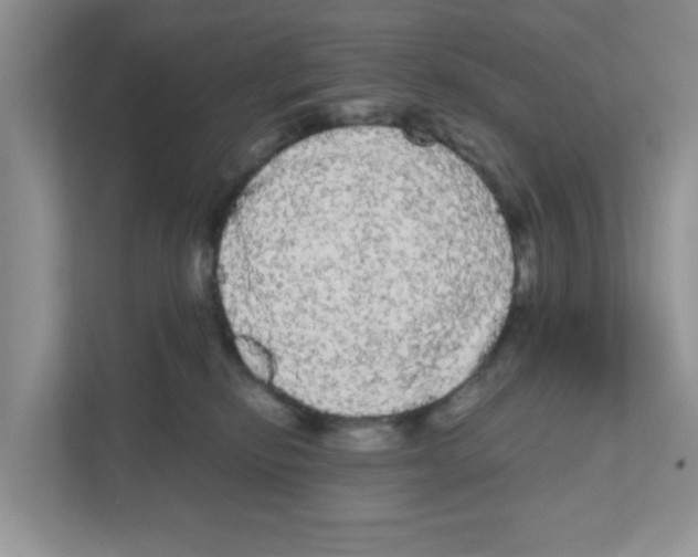 X0000111050278200907231602