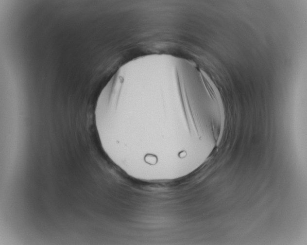 X0000111050284200907231602