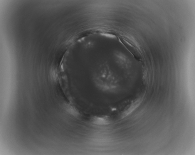 X0000111050285200907231602