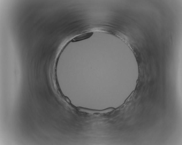 X0000111050289200907231601