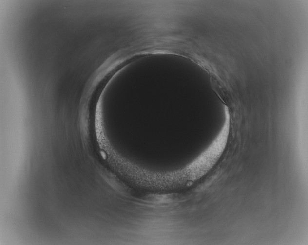 X0000111050295200907231601