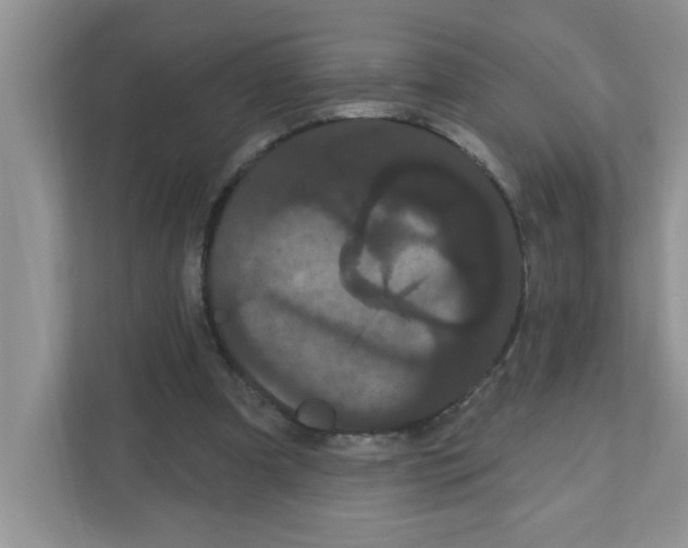 X0000111050297200907231601