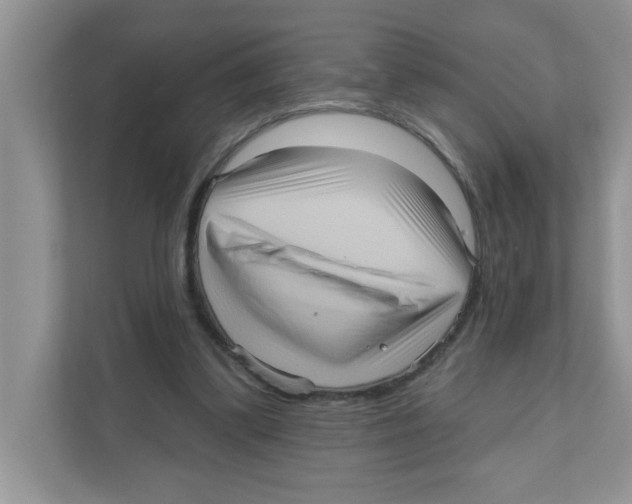 X0000111050299200907231601