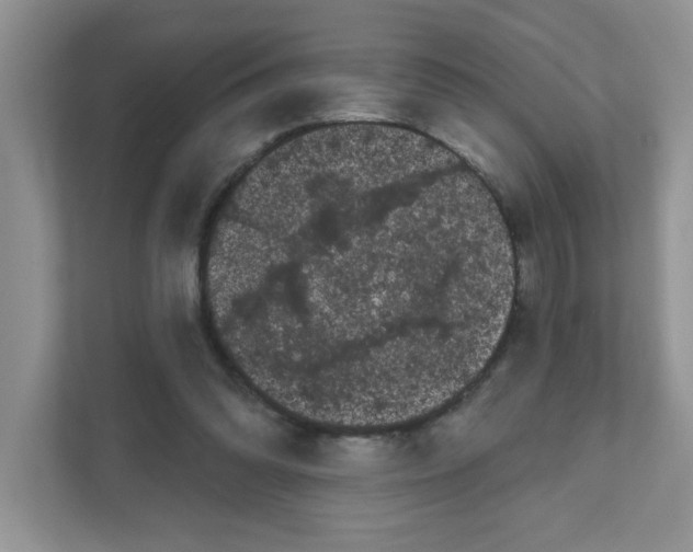 X0000111050302200907231601