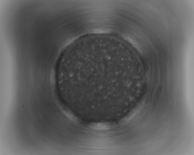 X0000111050303200907231601