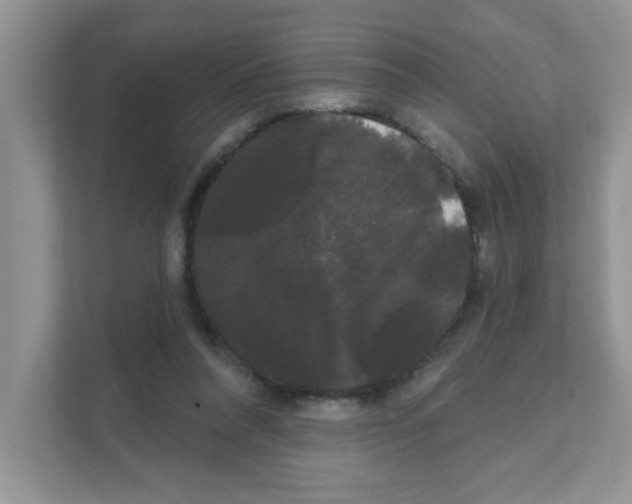 X0000111050304200907231601