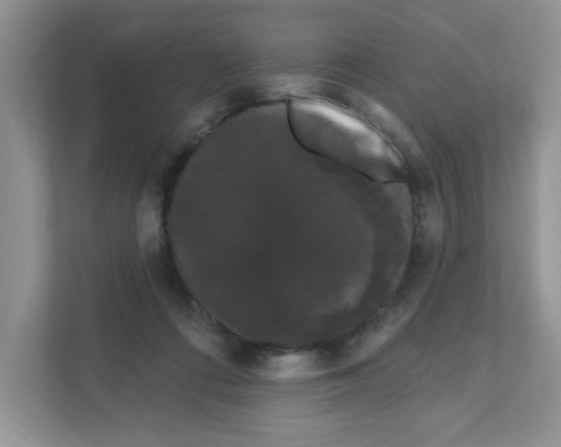 X0000111050312200907231601