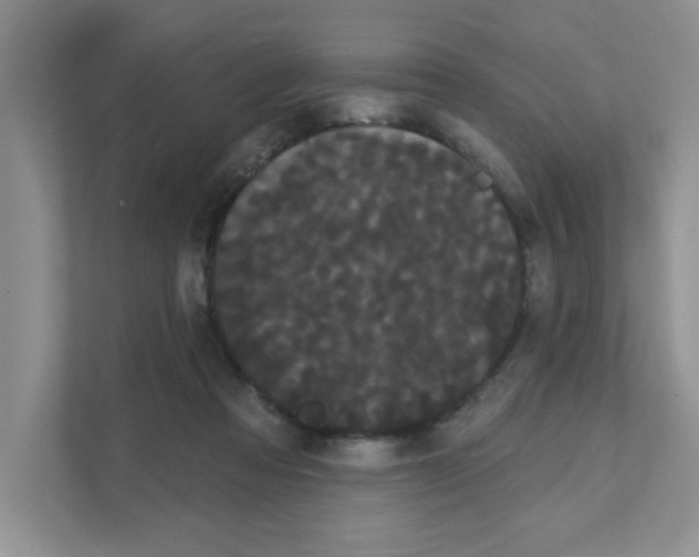 X0000111050313200907231601