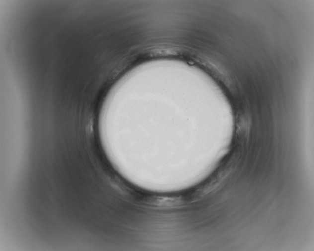 X0000111050315200907231601