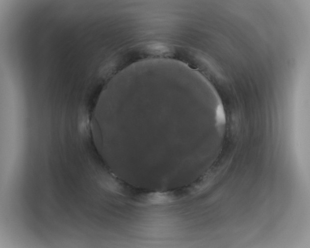 X0000111050320200907231601