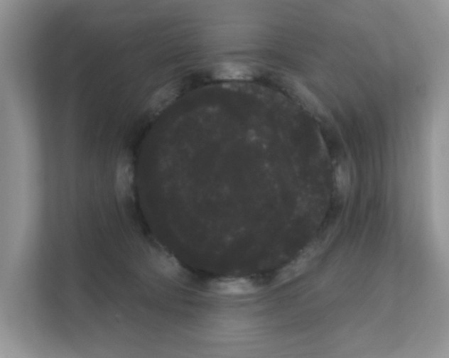 X0000111050322200907231601