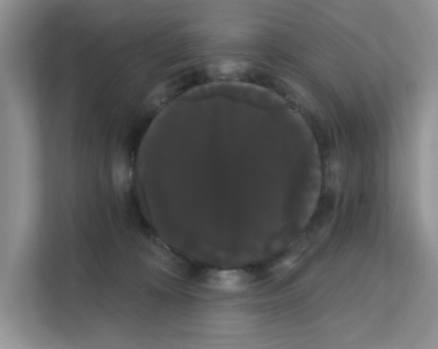 X0000111050324200907231601