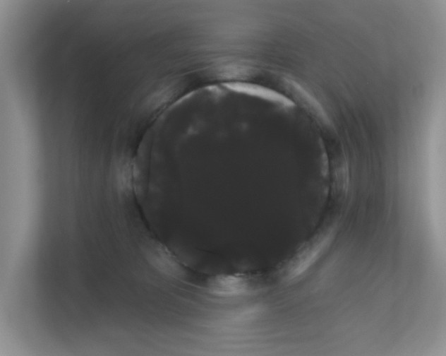 X0000111050325200907231601