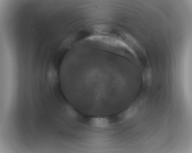 X0000111050327200907231601