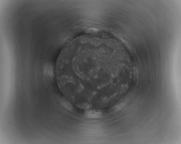 X0000111050331200907231601