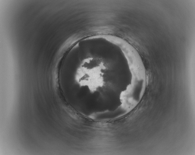 X0000111050339200907231600