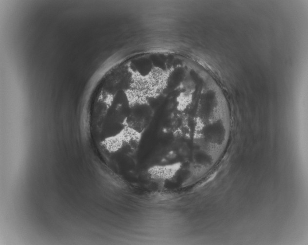 X0000111050343200907231600