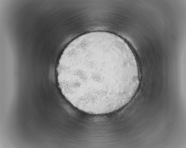 X0000111050345200907231600