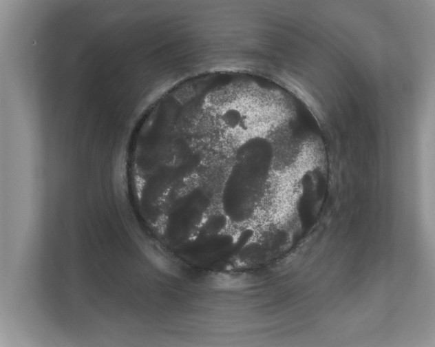 X0000111050346200907231600