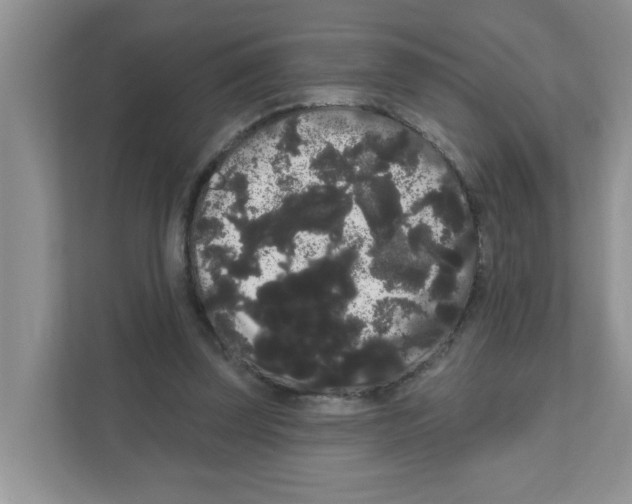 X0000111050347200907231600