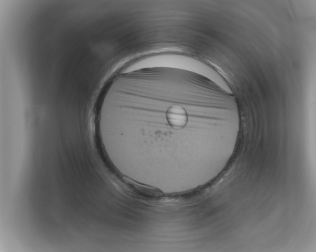 X0000111050350200907231600