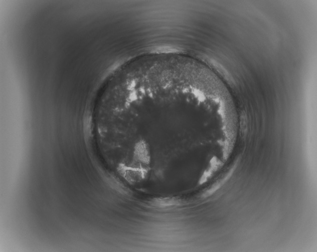 X0000111050351200907231600