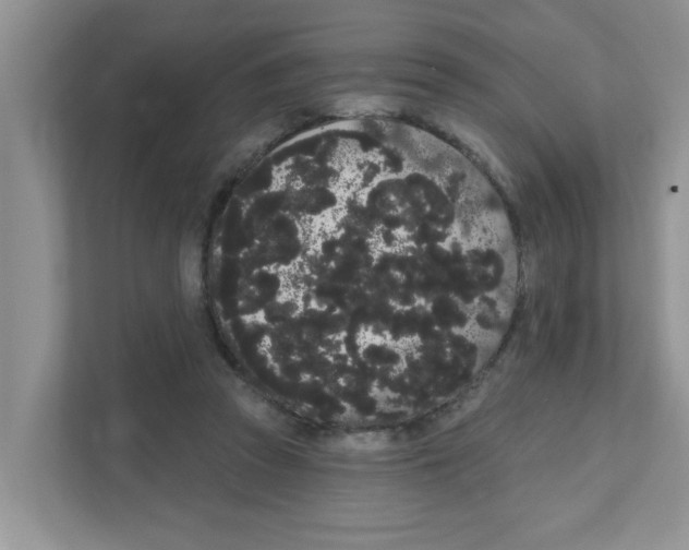 X0000111050353200907231600