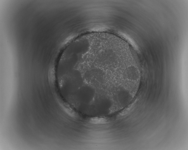 X0000111050354200907231600