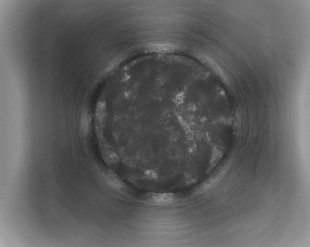 X0000111050355200907231600