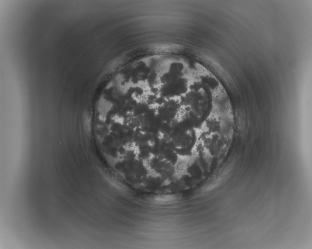 X0000111050357200907231600