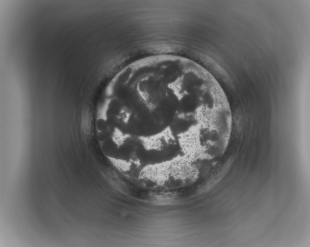 X0000111050359200907231600