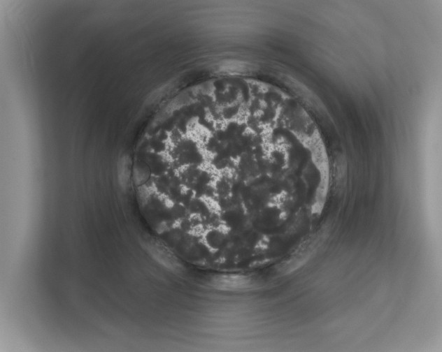 X0000111050361200907231600