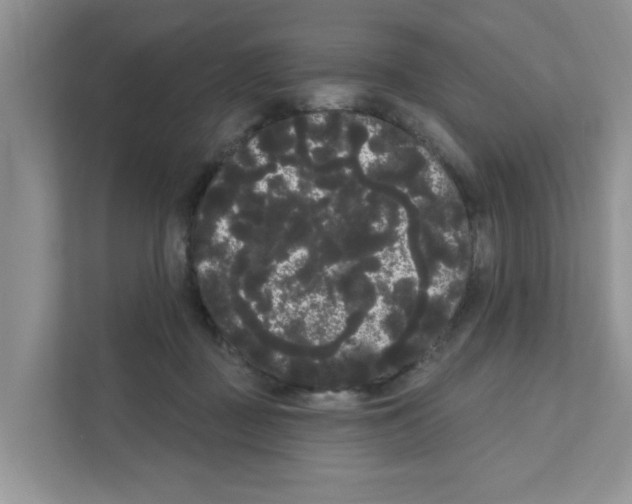 X0000111050363200907231600