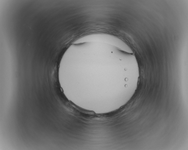 X0000111050364200907231600