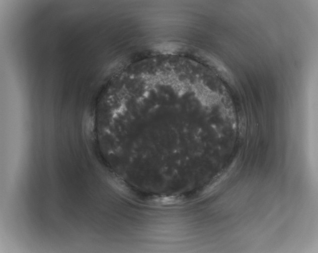 X0000111050365200907231600