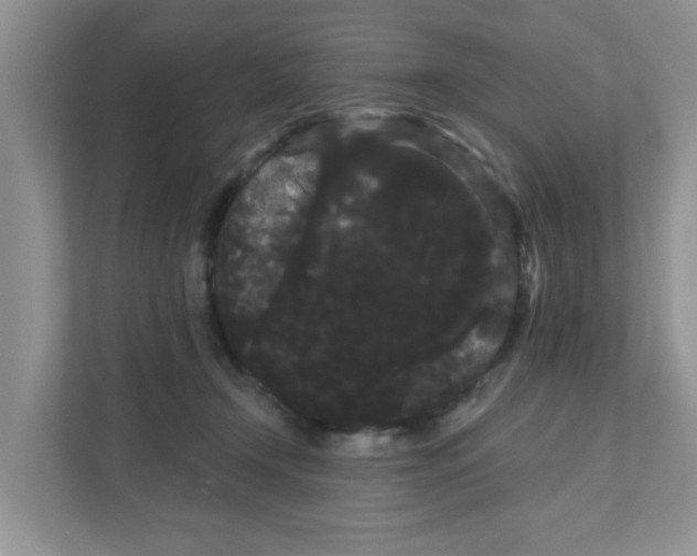 X0000111050366200907231600