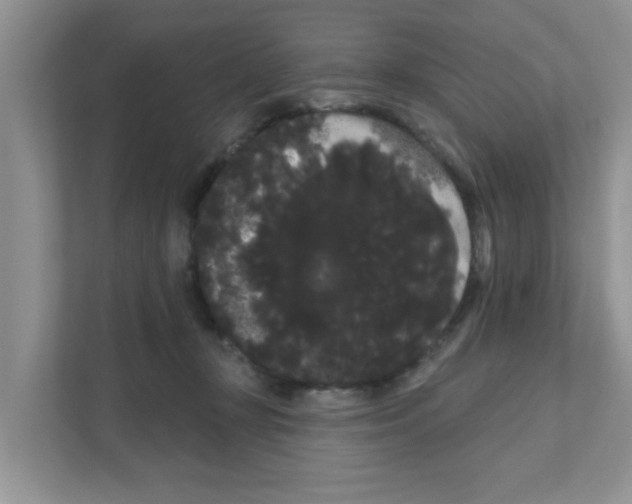 X0000111050367200907231601