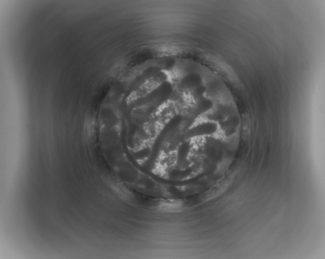 X0000111050369200907231601